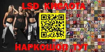 тгк Новозыбков