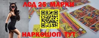 тгк Новозыбков