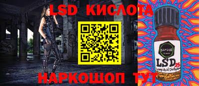 тгк Новозыбков